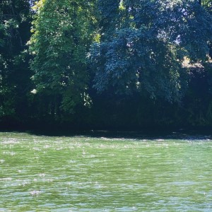 1e43d3cf-fb93-44ce-b084-df4e81e8df9d