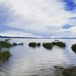 5ef8db1c-d7f9-42db-bbbf-d752c35551d2